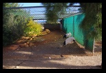 Pafos Zoo -30-05-2017 - Bogdan Balaban